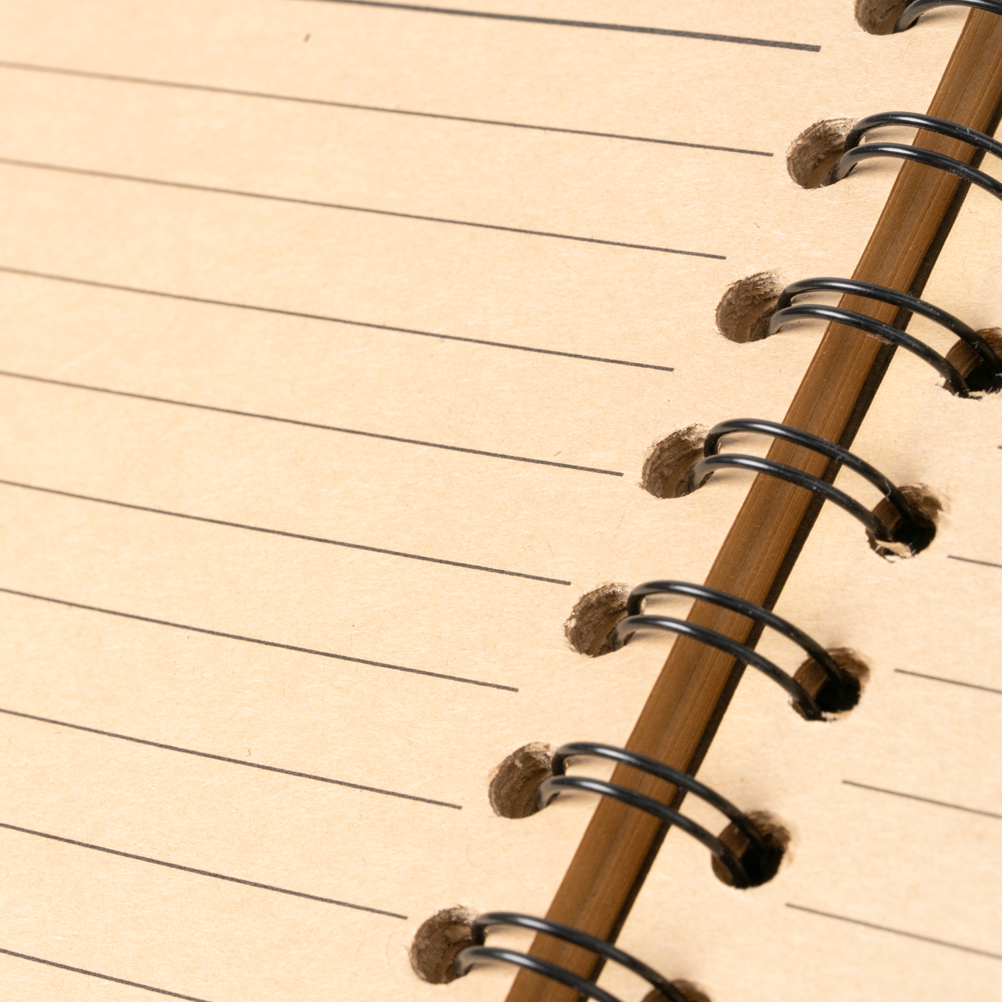 NUSAX - Imagen 3